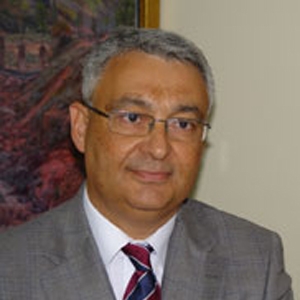 Pedro J. Perez Romero